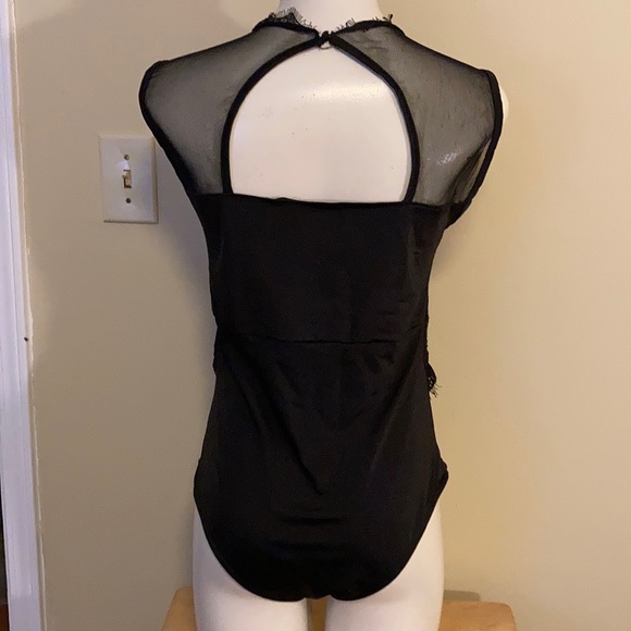 Teddy - Picture 3 of 3